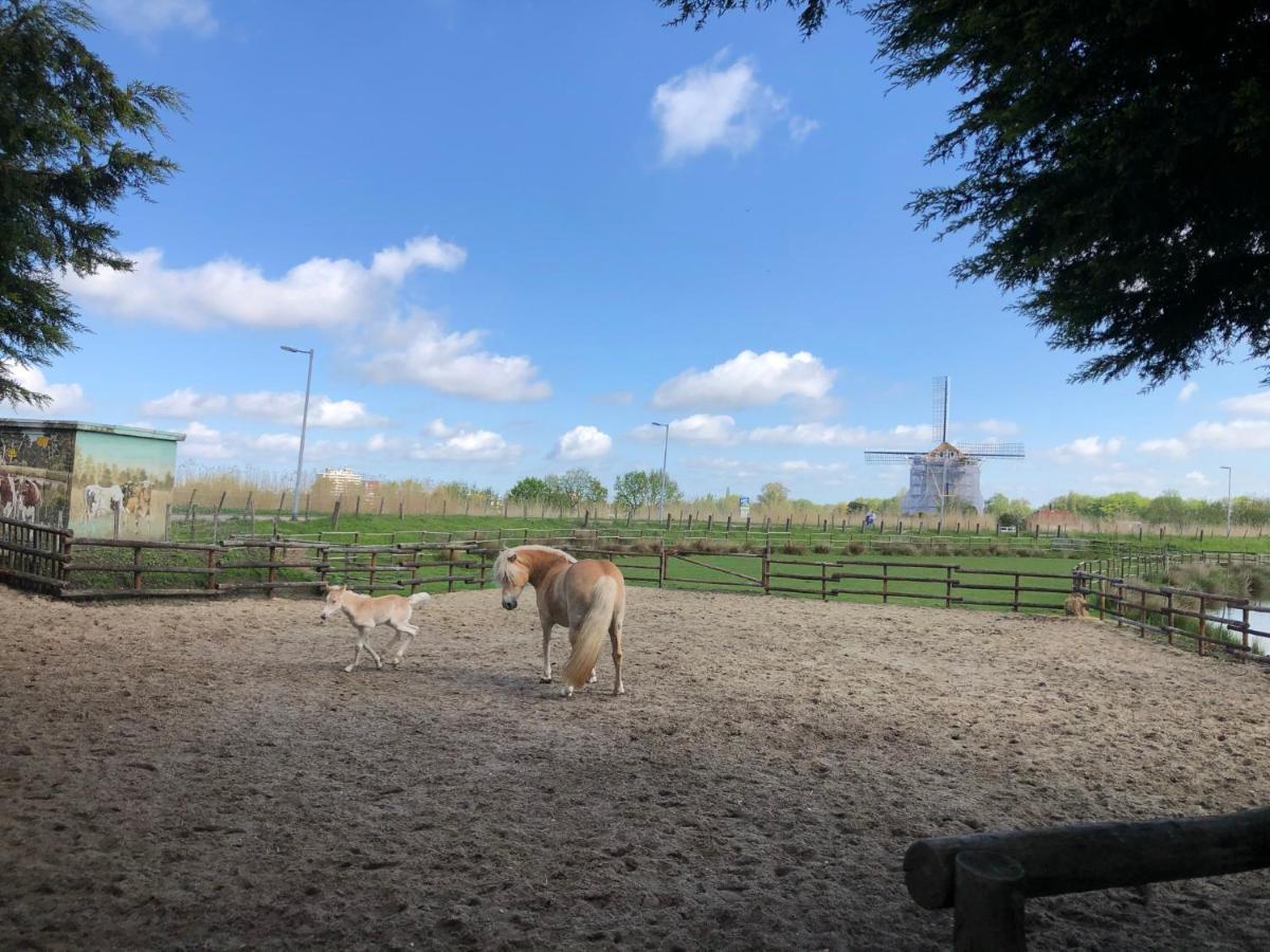 Chalet Aan De Rotte Rotterdam Extérieur photo